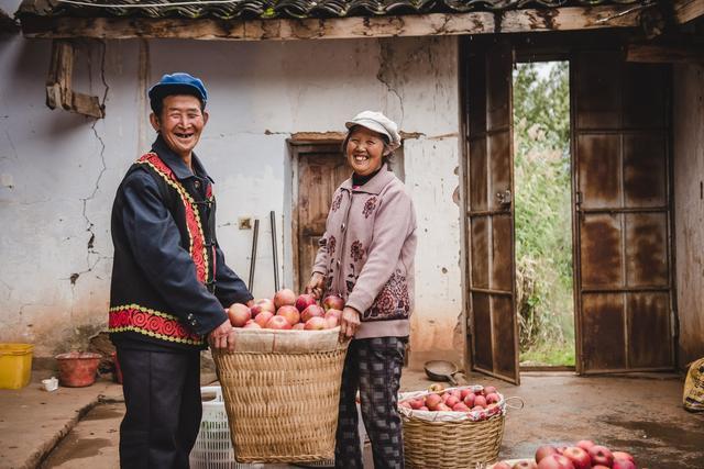 買菜成為時(shí)髦雙11淘菜菜農(nóng)產(chǎn)品銷售超過24億斤