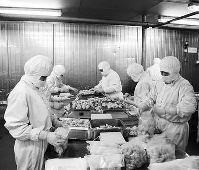 青島檢驗檢疫局助禽類產品企業出口逆市增長(附圖)