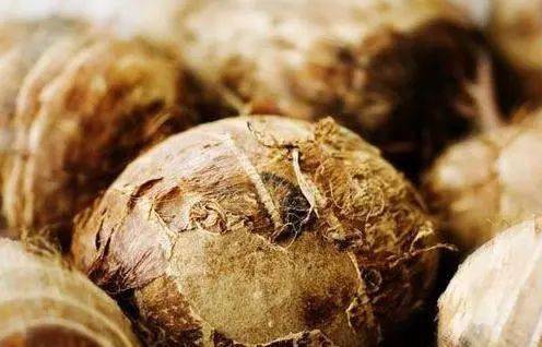 逛展會(huì),看攻略,2020農(nóng)博會(huì)參觀必備