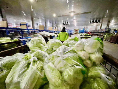 美菜商城不打烊,保障就地過(guò)年消費(fèi)者 年夜飯