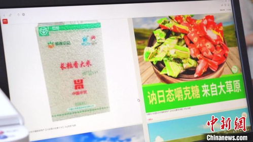 環(huán)游青年返鄉(xiāng)創(chuàng)業(yè) 電商興農(nóng)開拓海內(nèi)外家禽市場