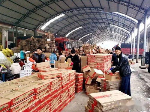 小小水果泡沫托，輕盈承載脫貧夢——探索初級農(nóng)產(chǎn)品網(wǎng)絡(luò)銷售新路徑